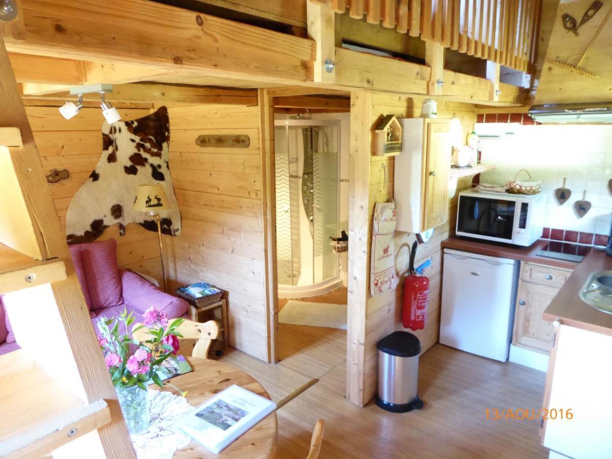 Chalet Fleur Des Neiges Saint-Jean-dʼAulps Exteriör bild